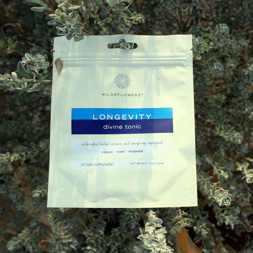 LONGEVITY DIVINE